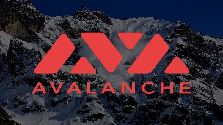 AVAX Coin là gì? Những điều cần biết về hệ sinh thái Avalanche