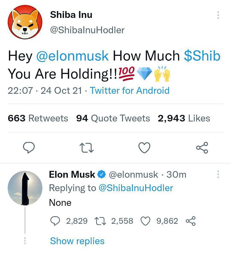 Có nên mua Shiba Inu coin không? Elon Musk nói rằng ông không sở hữu SHIB