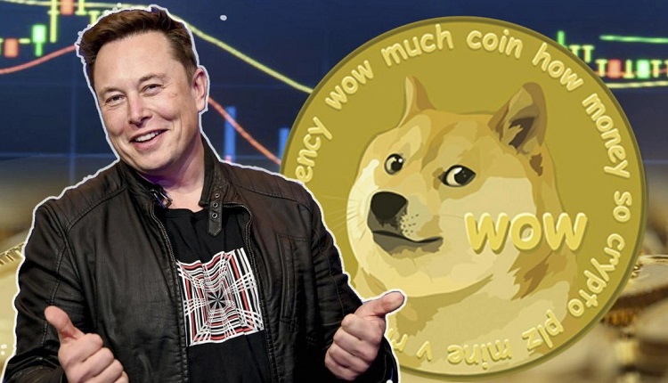 Shiba Inu SHIB vs Dogecoin DOGE - đồng meme coin nào tiềm năng hơn